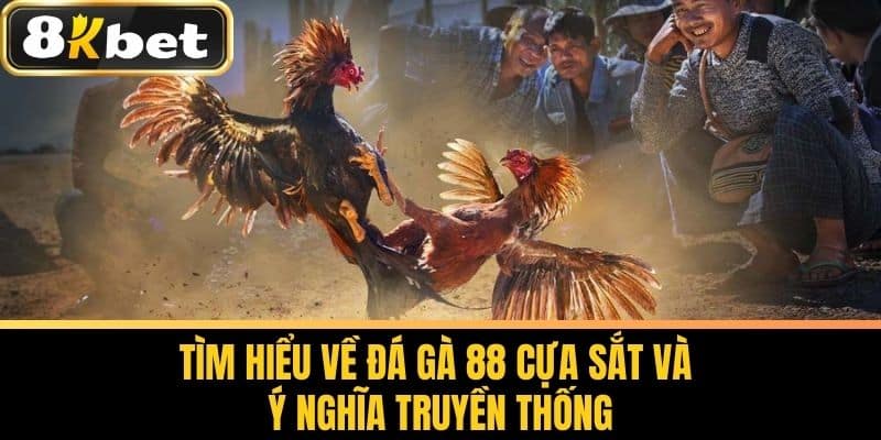 Tìm Hiểu Về Đá Gà 88 Cựa Sắt Và Ý Nghĩa Truyền Thống