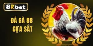 Đá Gà 88 Cựa Sắt - Chia Sẻ Bí Quyết Chiến Thắng Đỉnh Cao