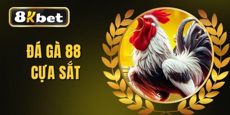Đá Gà 88 Cựa Sắt - Chia Sẻ Bí Quyết Chiến Thắng Đỉnh Cao