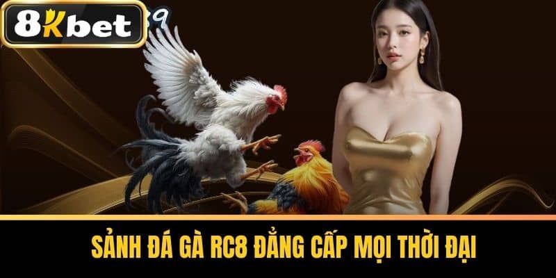 Sảnh đá gà RC8 đẳng cấp mọi thời đại