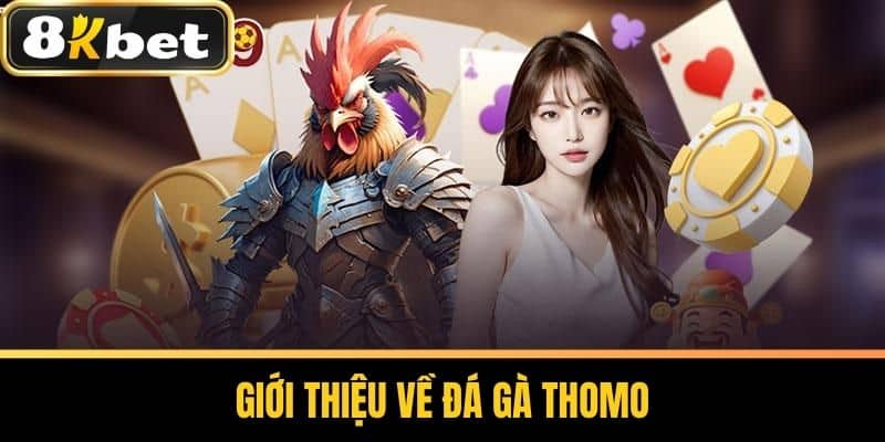 Giới Thiệu Về Đá Gà Thomo