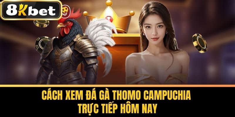 Cách Xem Đá Gà Thomo Campuchia Trực Tiếp Hôm Nay