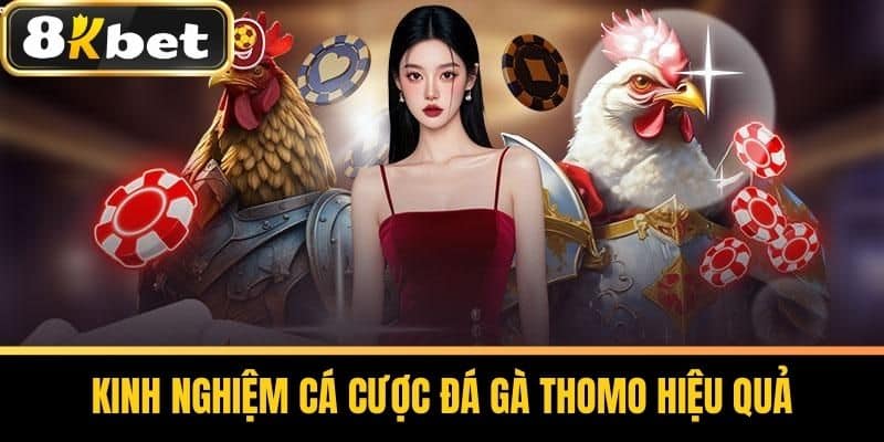 Kinh Nghiệm Cá Cược Đá Gà Thomo Hiệu Quả