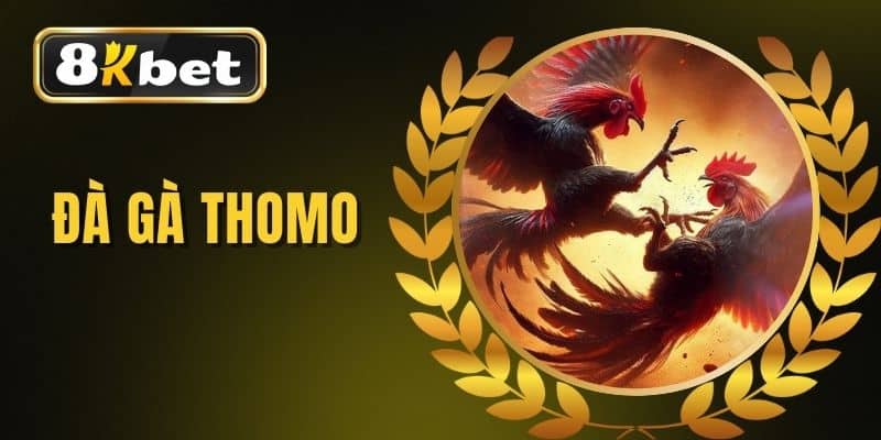 Đá Gà Thomo - Xem Đá Gà Campuchia Trực Tiếp Hôm Nay