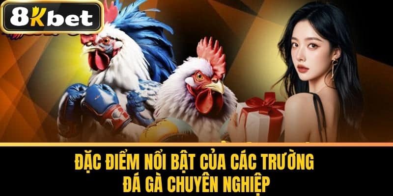 Đặc Điểm Nổi Bật Của Các Trường Đá Gà Chuyên Nghiệp