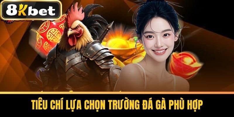 Tiêu Chí Lựa Chọn Trường Đá Gà Phù Hợp