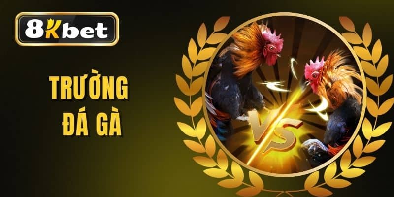 Trường Đá Gà Chuyên Nghiệp - Địa Chỉ Tin Cậy Cho Các Tín Đồ